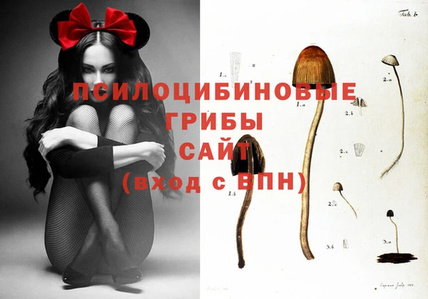 марки nbome Аркадак