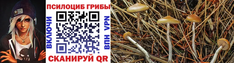 купить закладку  Бодайбо  Галлюциногенные грибы MAGIC MUSHROOMS 